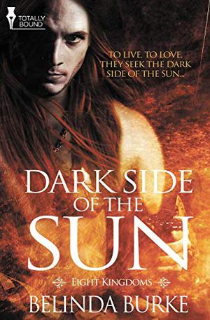 The Dark Side of the Sun (Eight Kingdoms #1)