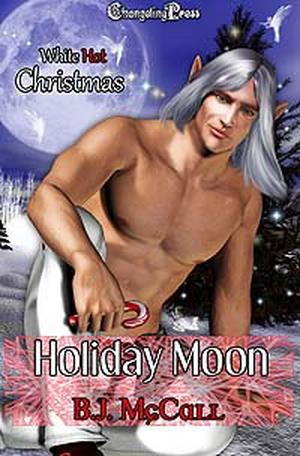 Holiday Moon by B.J. McCall