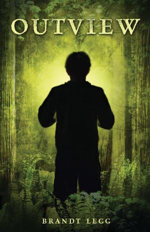 Outview by Brandt Legg