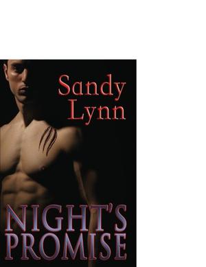 Night's Promise by Sandy Lynn