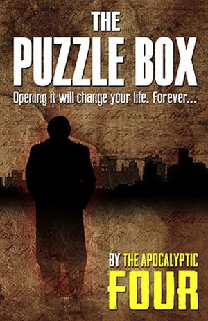 The Puzzle Box by Eileen Bell, Randy McCharles, Billie Milholland, Ryan T. McFadden