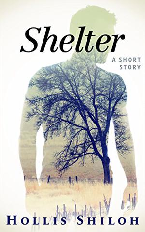 Shelter by Hollis Shiloh