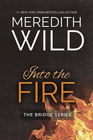Into the Fire by Meredith Wild