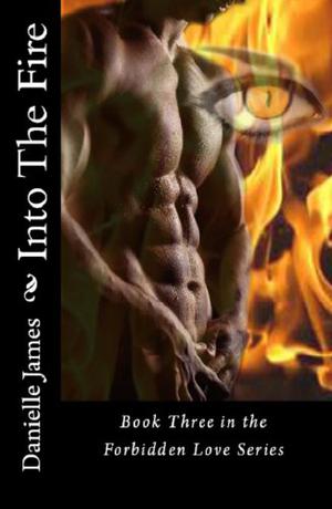 Into the Fire by Danielle James