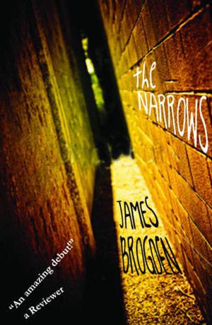 The Narrows by James Brogden