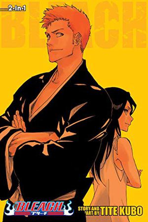 Bleach 2-in-1 Edition, Vol. 25: Includes vols. 73-74 (Bleach: Omnibus #25)
