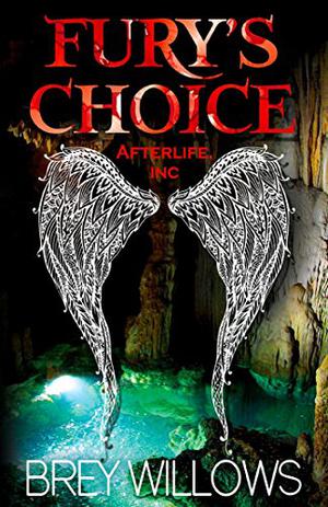Fury's Choice by Brey Willows
