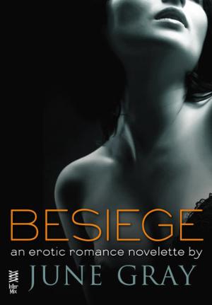 Besiege by June Gray