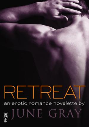 Retreat (Disarm #3)
