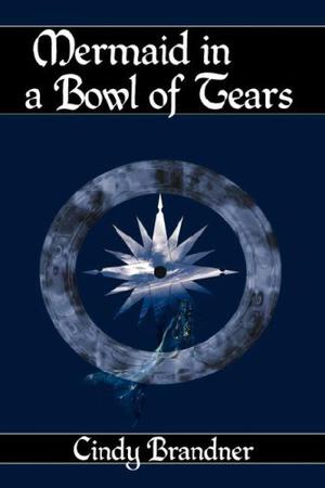 Mermaid in a Bowl of Tears by Cindy Brandner