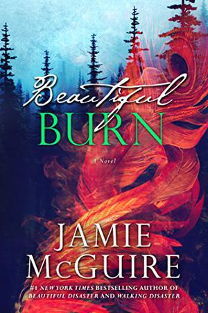 Beautiful Burn (The Maddox Brothers #4)
