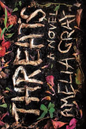 Threats by Amelia Gray