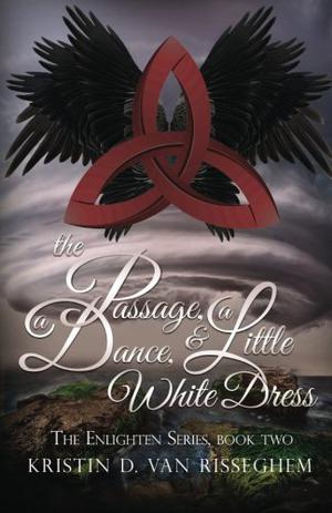 The Passage, a Dance, & a Little White Dress (Enlighten #2)