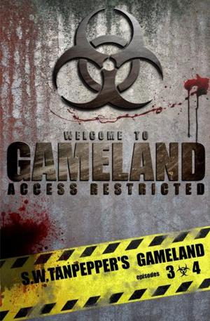 GAMELAND Episodes 3-4 (GAMELAND #3-4)