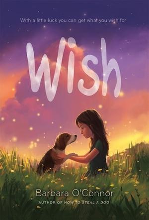 Wish by Barbara O'Connor