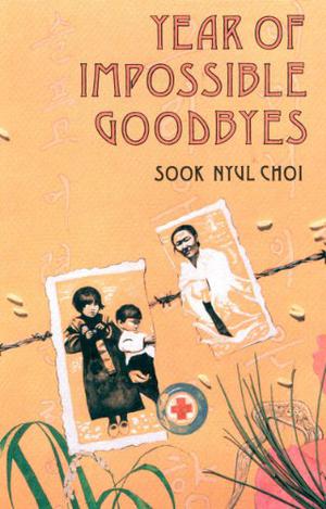 Year of Impossible Goodbyes by Sook Nyul Choi