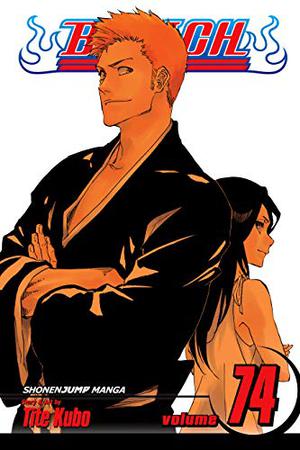 Bleach, Vol. 74: The Death and the Strawberry (Bleach #74)