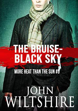 The Bruise-Black Sky (More Heat Than the Sun #5)