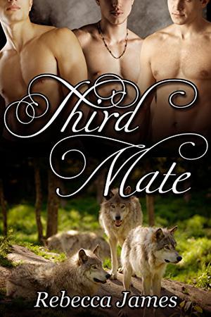 Third Mate by Rebecca James