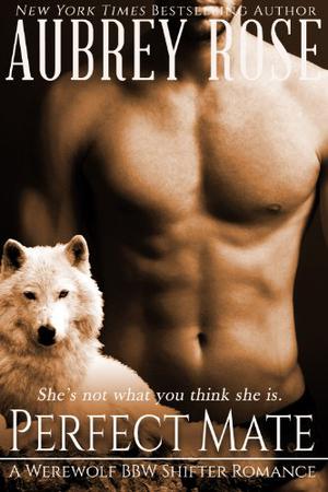 Perfect Mate (Blind Wolf #2)