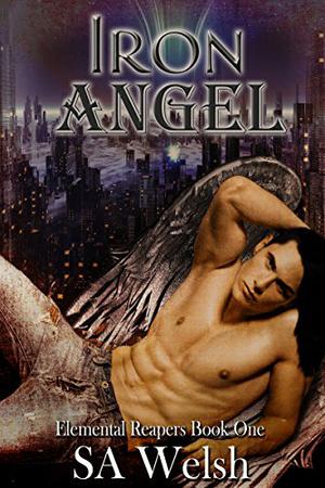 Iron Angel by S.A. Welsh