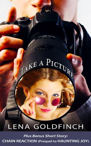 Take a Picture by Lena Goldfinch