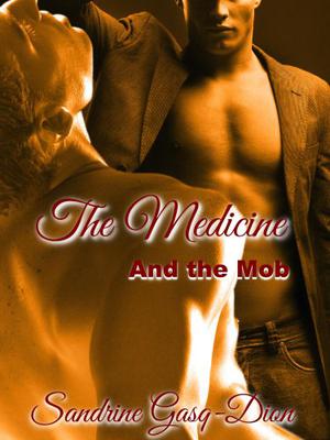 The Medicine and the Mob (Santorno #1)