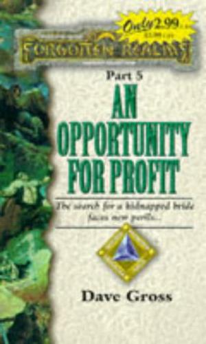 An Opportunity for Profit (Forgotten Realms: Double Diamond Triangle Saga #5)