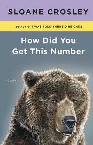 How Did You Get This Number: Essays by Sloane Crosley