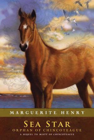Sea Star: Orphan of Chincoteague (Misty #2)