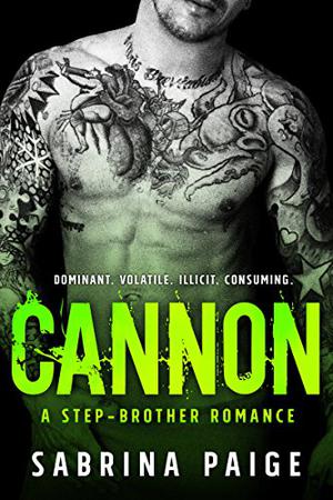 Cannon (A Step-Brother Romance #3)