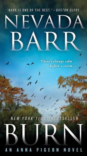 Burn (Anna Pigeon #16)