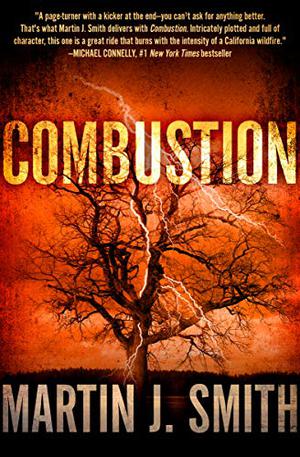 Combustion by Martin J. Smith