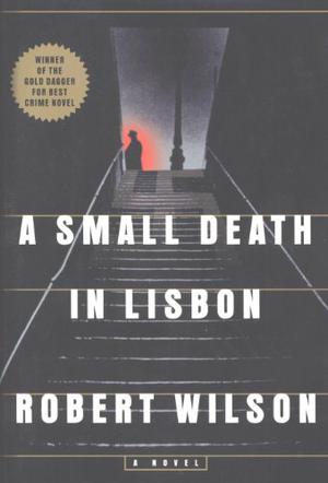 A Small Death in Lisbon by Robert Wilson