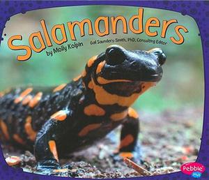 Salamanders by Molly Kolpin