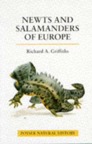 Newts and Salamanders of Europe by Richard Griffiths