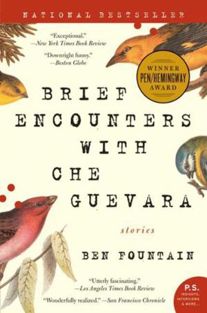 Brief Encounters with Che Guevara: Stories by Ben Fountain