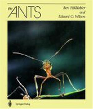 The Ants by Bert Hölldobler, Edward O. Wilson