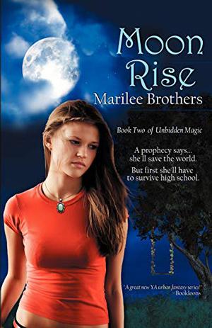 Moon Rise by Marilee Brothers