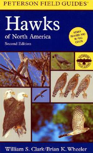 A Peterson Field Guide to Hawks of North America (Peterson Field Guides #35)