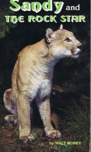 Sandy and the Rock Star by Walt Morey