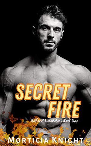 Secret Fire by Morticia Knight