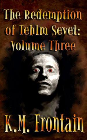 The Redemption of Tehlm Sevet: Volume Three (Soulstone Chronicles #12)
