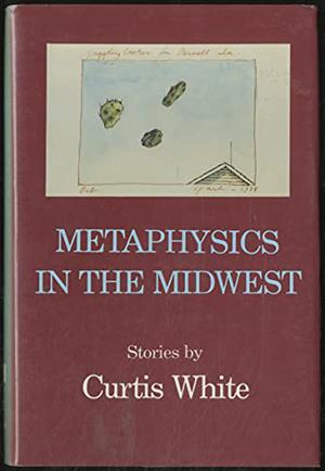 Metaphysics in the Midwest by Curtis White