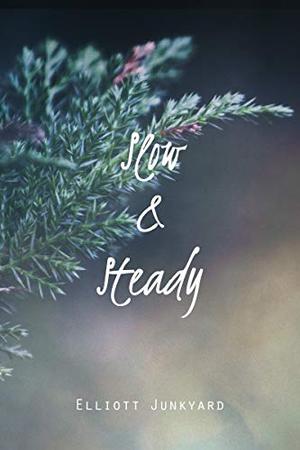 Slow & Steady (Heartlines #2)