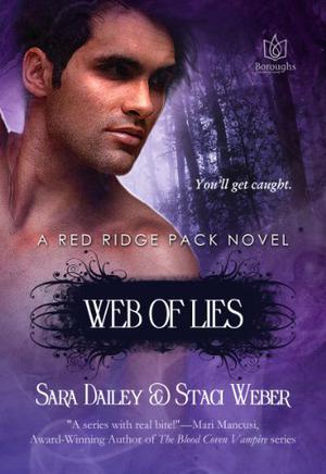 Web of Lies by Sara Dailey, Staci Weber