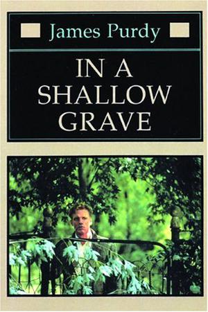 In a Shallow Grave by James Purdy