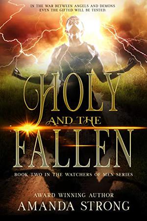 Holy and the Fallen by Amanda Strong