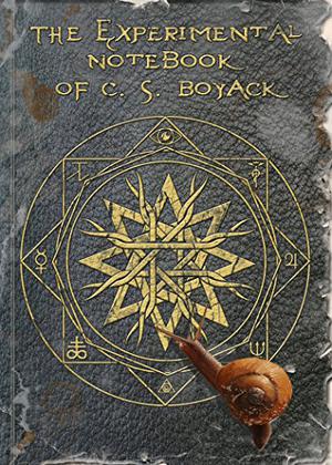 The Experimental Notebook of C. S. Boyack by C.S. Boyack