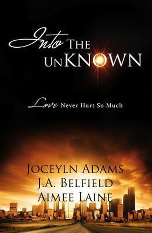 Into The Unknown (Holloway Pack #1.5)